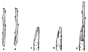 Peywent-1