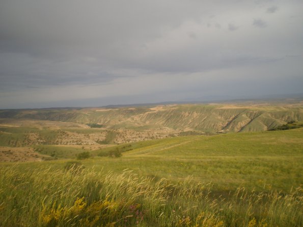 P3190088_595