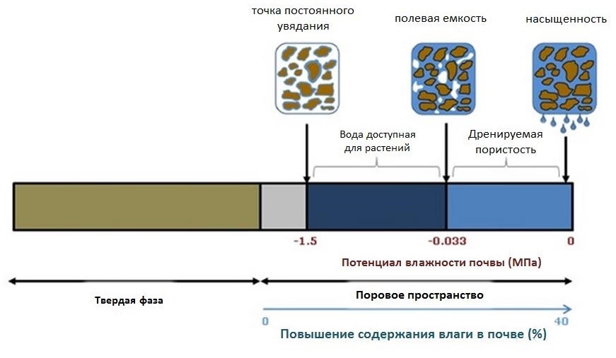 Рис 2