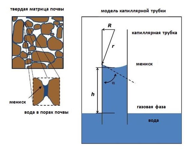 Рис 5